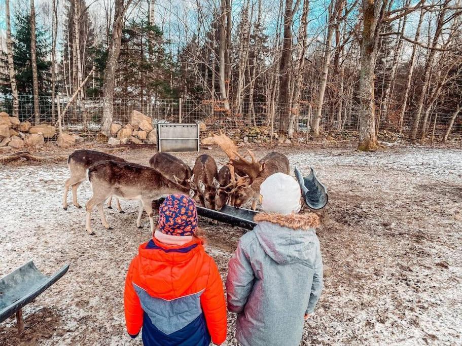 הוילה Tyringe Damwildfarm In Rollerbue Suedschweden מראה חיצוני תמונה