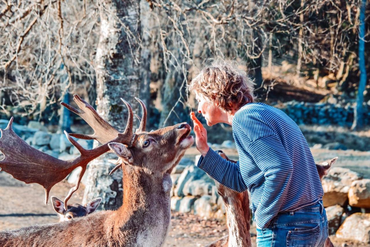 הוילה Tyringe Damwildfarm In Rollerbue Suedschweden מראה חיצוני תמונה