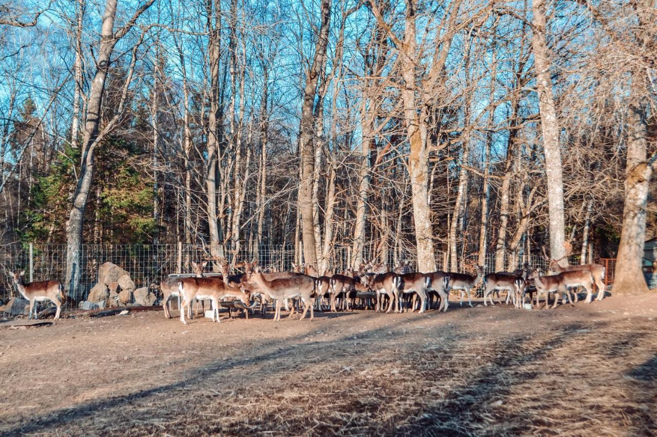 הוילה Tyringe Damwildfarm In Rollerbue Suedschweden מראה חיצוני תמונה