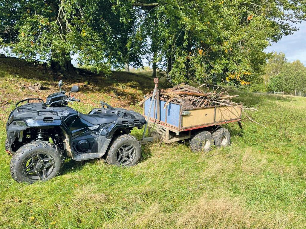 הוילה Tyringe Damwildfarm In Rollerbue Suedschweden מראה חיצוני תמונה