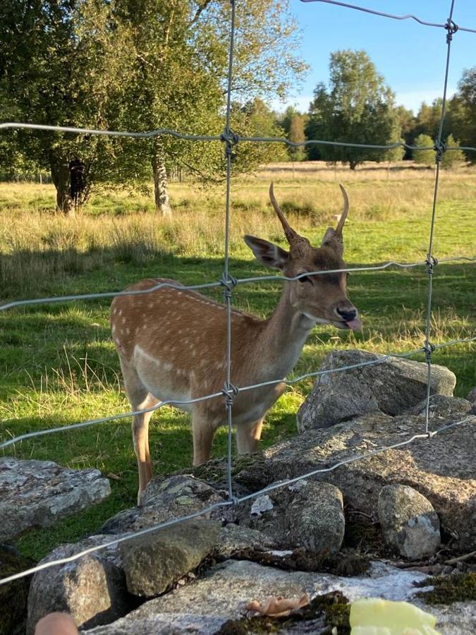 הוילה Tyringe Damwildfarm In Rollerbue Suedschweden מראה חיצוני תמונה