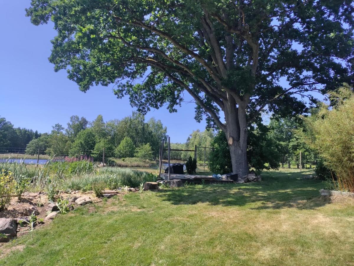 הוילה Tyringe Damwildfarm In Rollerbue Suedschweden מראה חיצוני תמונה