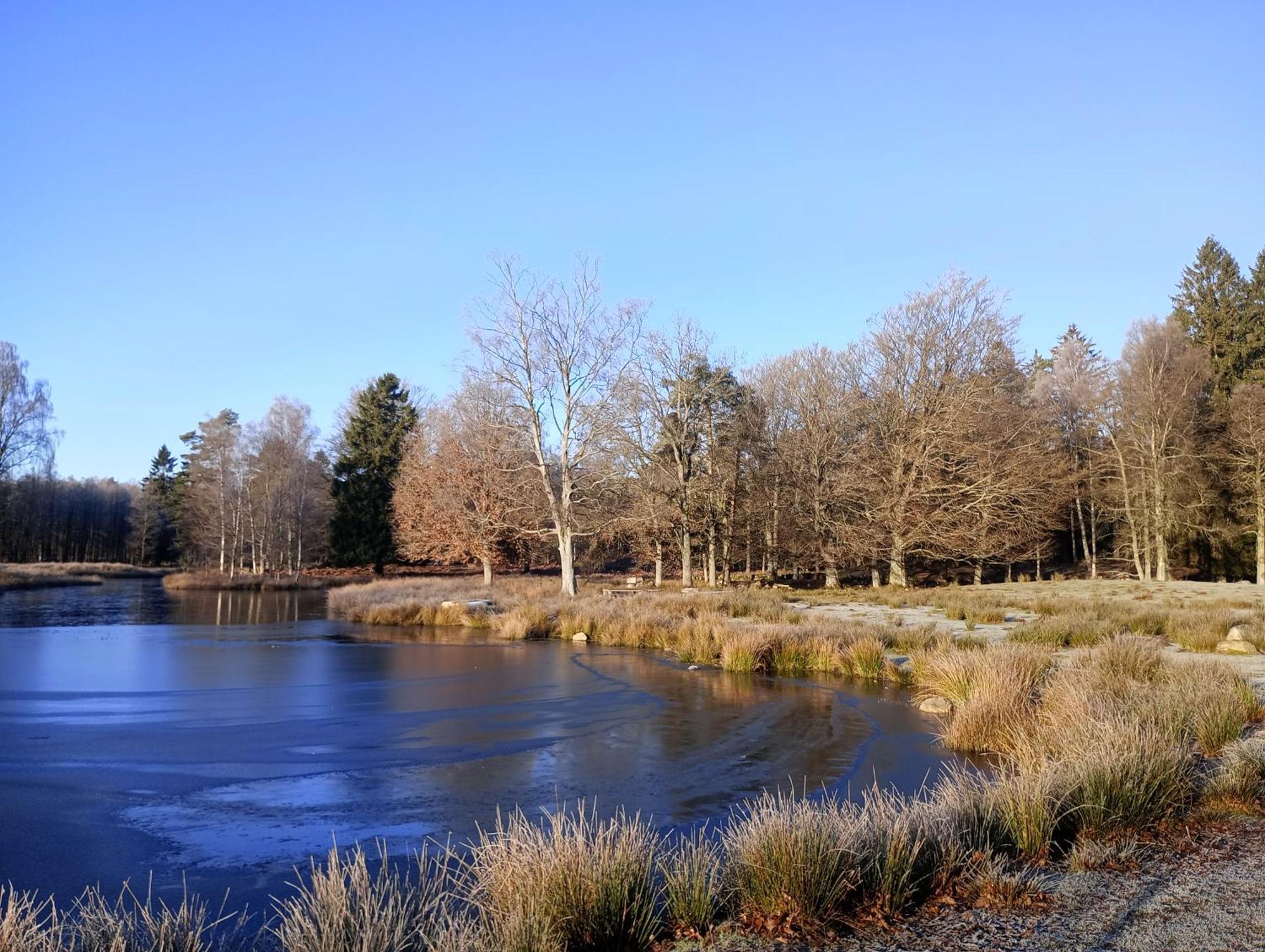 הוילה Tyringe Damwildfarm In Rollerbue Suedschweden מראה חיצוני תמונה
